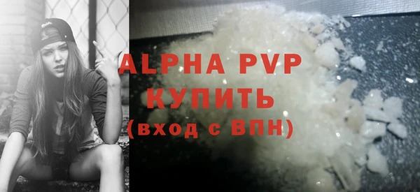 индика Верея
