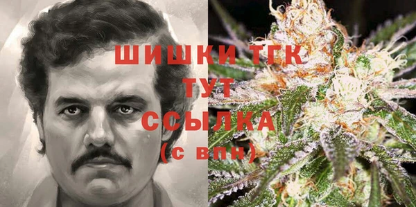 прущие грибы Бородино