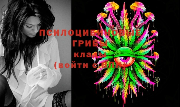 индика Верея